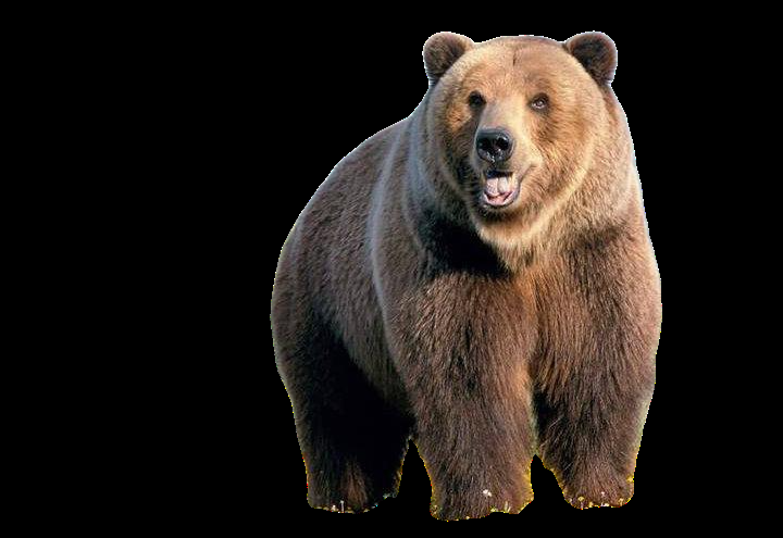 I will remove the background of 40 photos very quickly