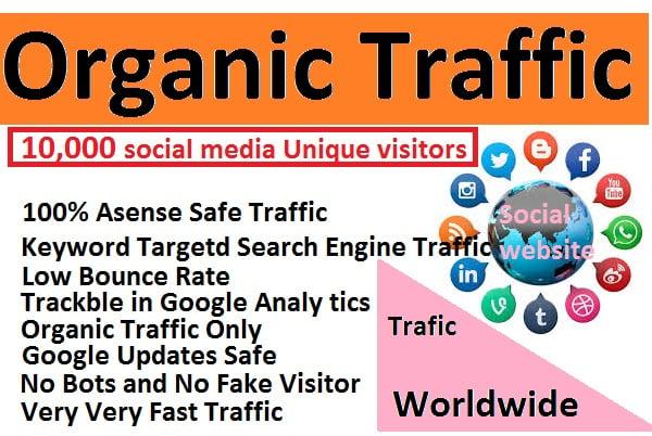 I will send 10,000 unique social media visitors for 30 days