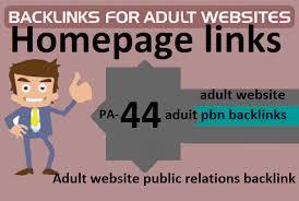 I will 1 Permanent Homepage PBN Back link on a very popular PA - 15-29 Adult Website