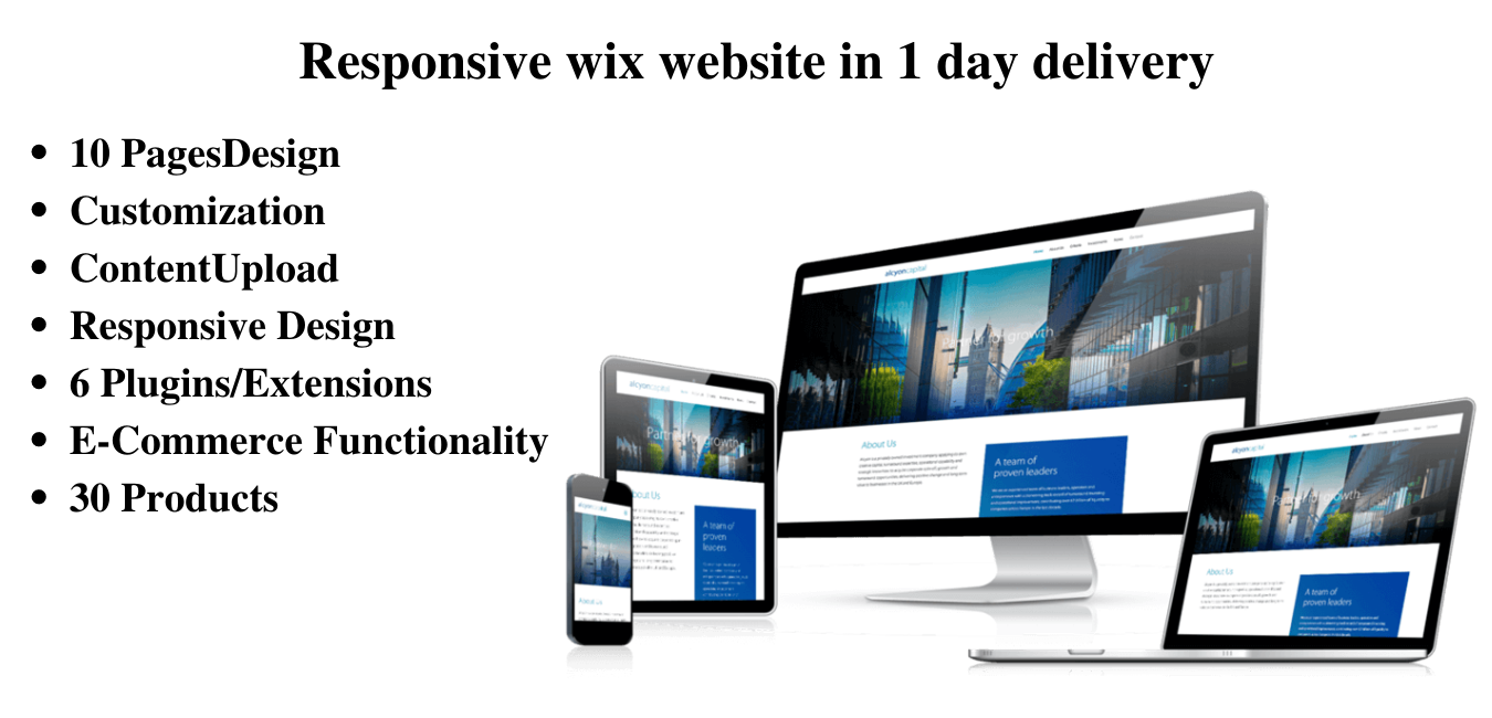 I will design responsive wix website in 1 day