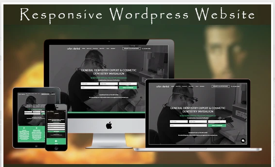 install,design responsive unique wordpress website in 1 day