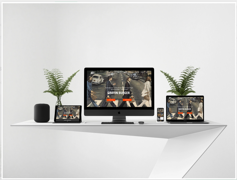 install,design responsive unique wordpress website in 1 day