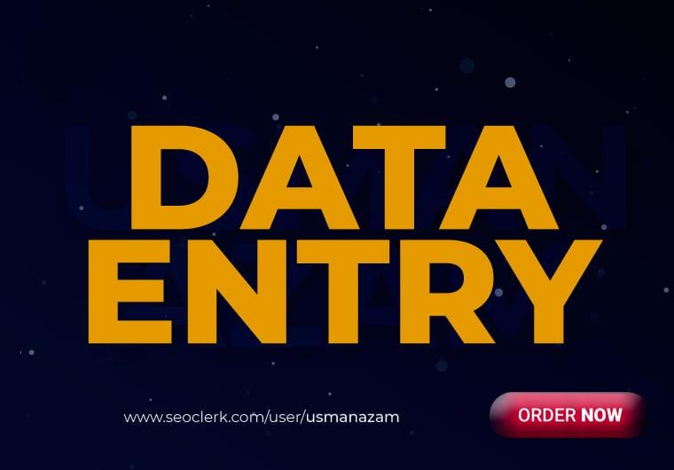 I will do instant data entry work 