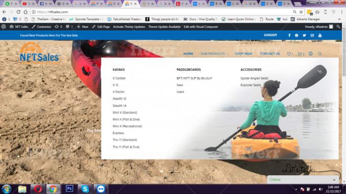 I will develop any kind of responsive wordpress website.