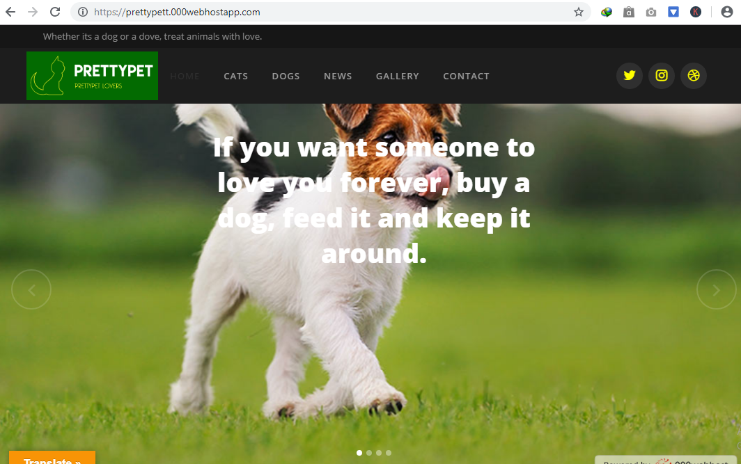 Create a responsive wordpress website design with 2 days free support