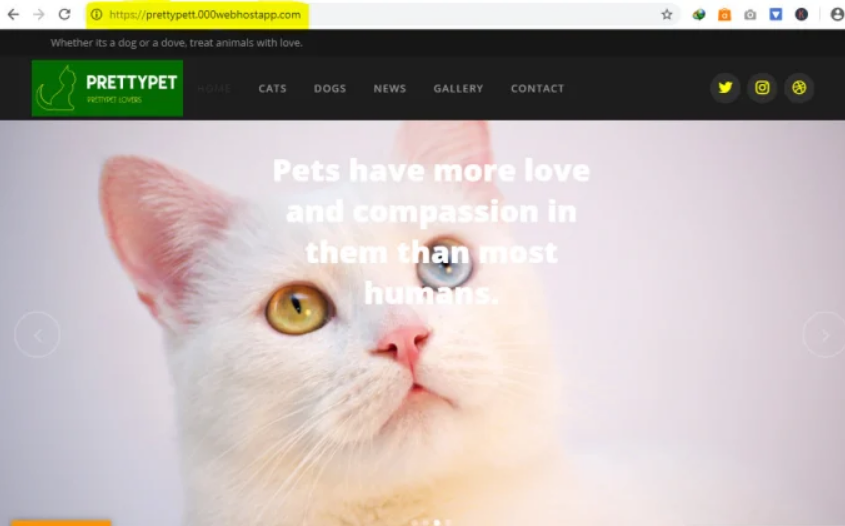 Install Wordpress or any wordrpess theme and setup like its demo and customize it 