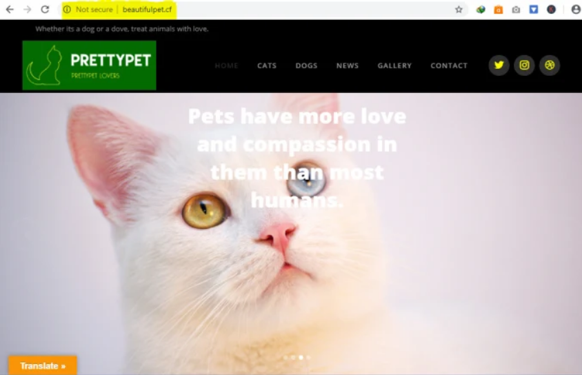 Install Wordpress or any wordrpess theme and setup like its demo and customize it 