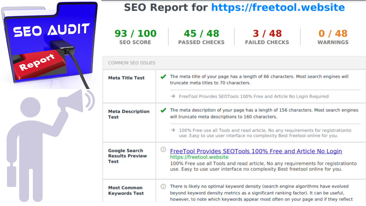 create professional SEO audit report for your website