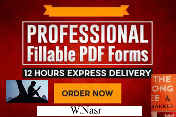 I Will Convert Professionally your Files to any 