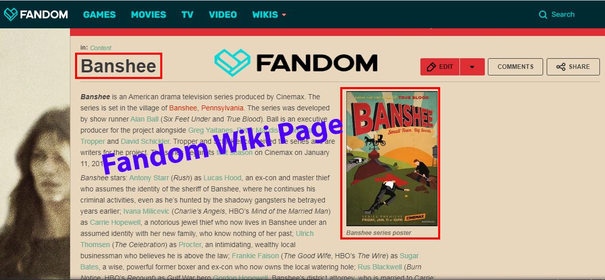 I will Create an Approved Fandom Wiki Page