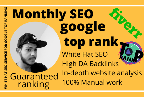 I will provide monthly SEO service for google top ranking