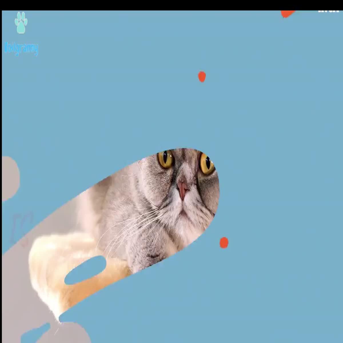 I will create an engaging video commercial for your business within 24hrs