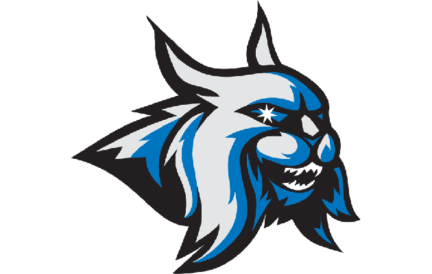 I will create any Logo you desire!