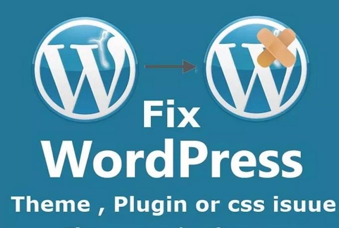 I will fix wordpress errors, bugs, issues