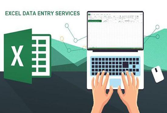 I will do fast excel data entry work for you