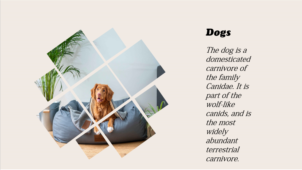 I will design professional and modern superior powerpoint presentation