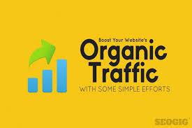 I will drive safe genuine organic traffic