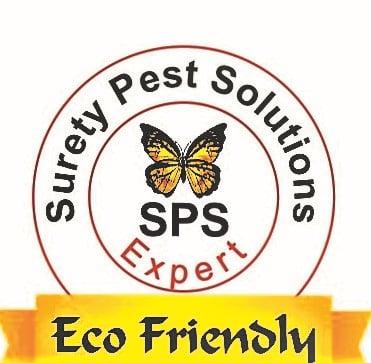 We design awesome and unique logo in short time