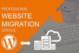 I will migrate wordpress website in 24hours