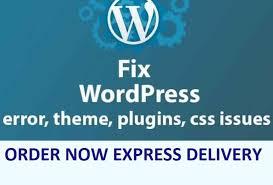 I will fix wordpress website issues or errors in 24 hrs