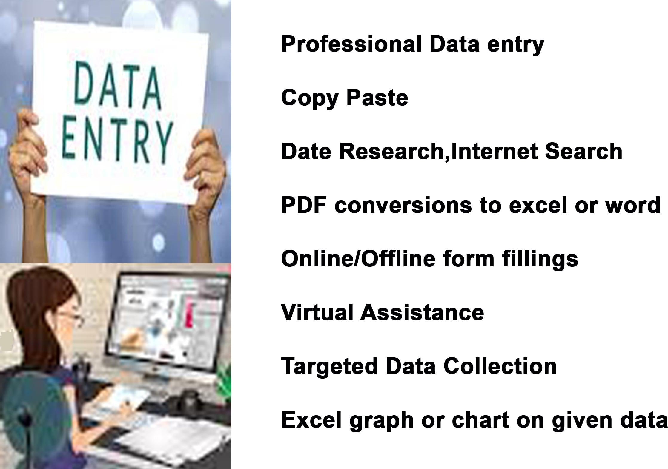 Data Entry, Copy Paste and Virtual Assistant and Web Research