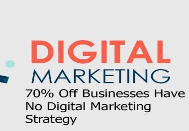 I will provide digital marketing strategy for your business or work