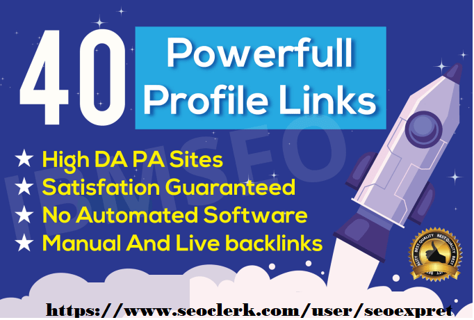 I Will Do 40 Profile Backlinks Manual SEO Service