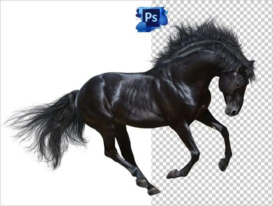 Super Fast photoshop editing & background removal,crop,resoze ,remove watermark & vector art