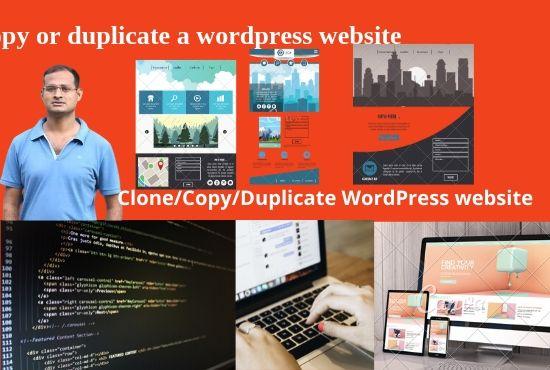 I will do website clone, copy or duplicate a word press transfer 