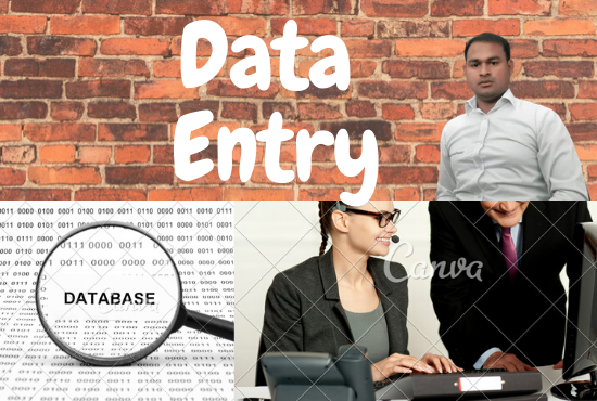  I will do data entry, data mining, Data collection