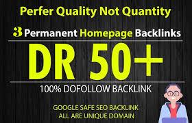 Build 10 High DR 50 HomePage PBN Backlinks