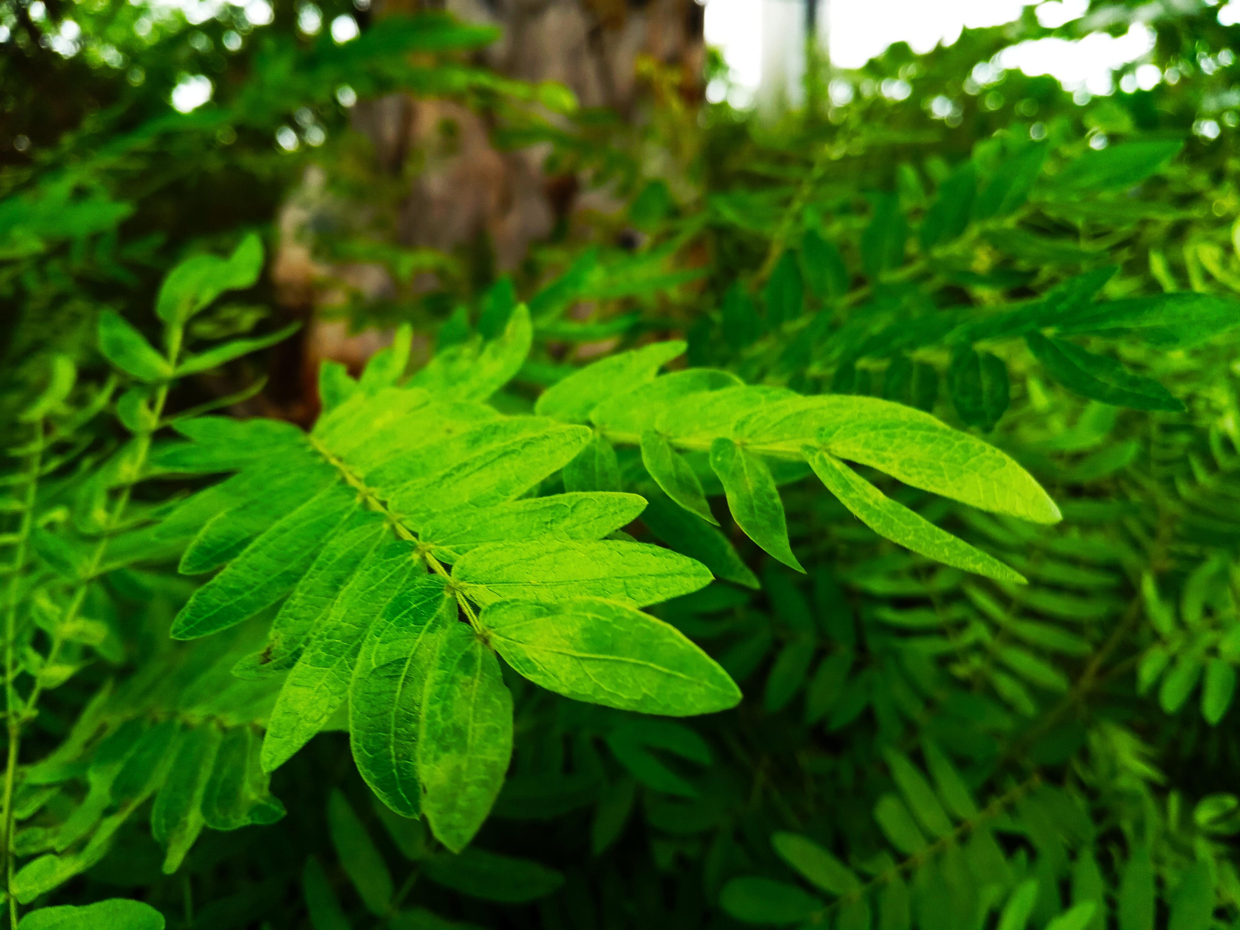 I can edit your photos professionally And It Will be delivered within 24 hours