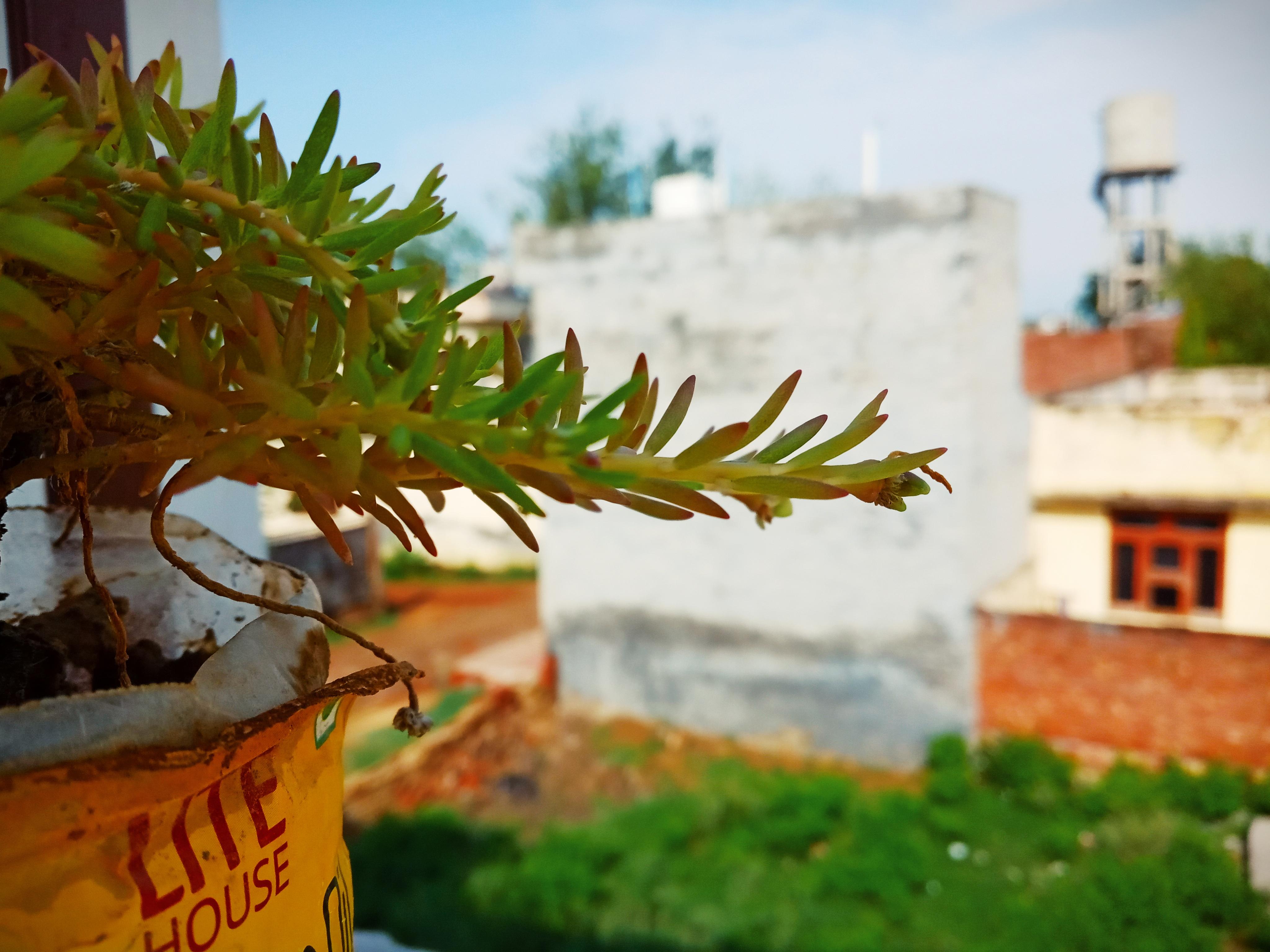 I can edit your photos professionally And It Will be delivered within 24 hours