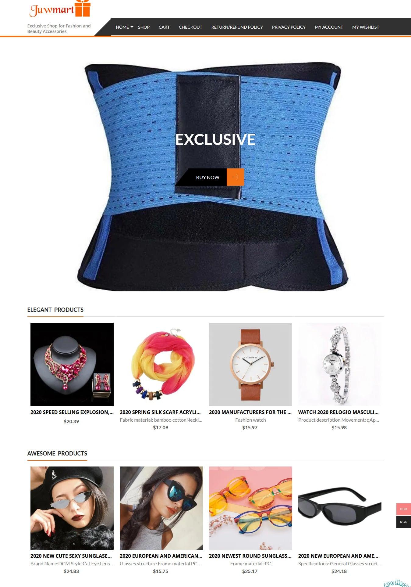 I will create a professional wordpress website and e-commerce website for you