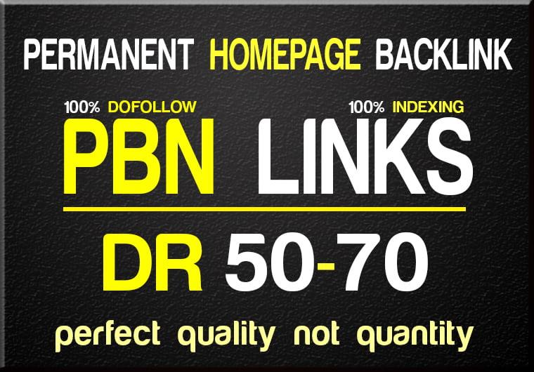 I will do 10 Permanent DR 50 to 70 Dofollow Homepage PBN Backlinks to Increase your site's metrics
