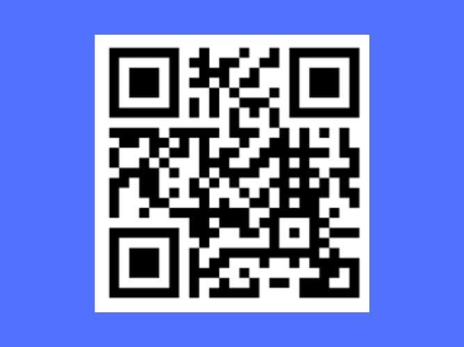  I will Customise a QR code for you