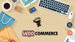 build ecommerce website online store with wordpress woocommerce