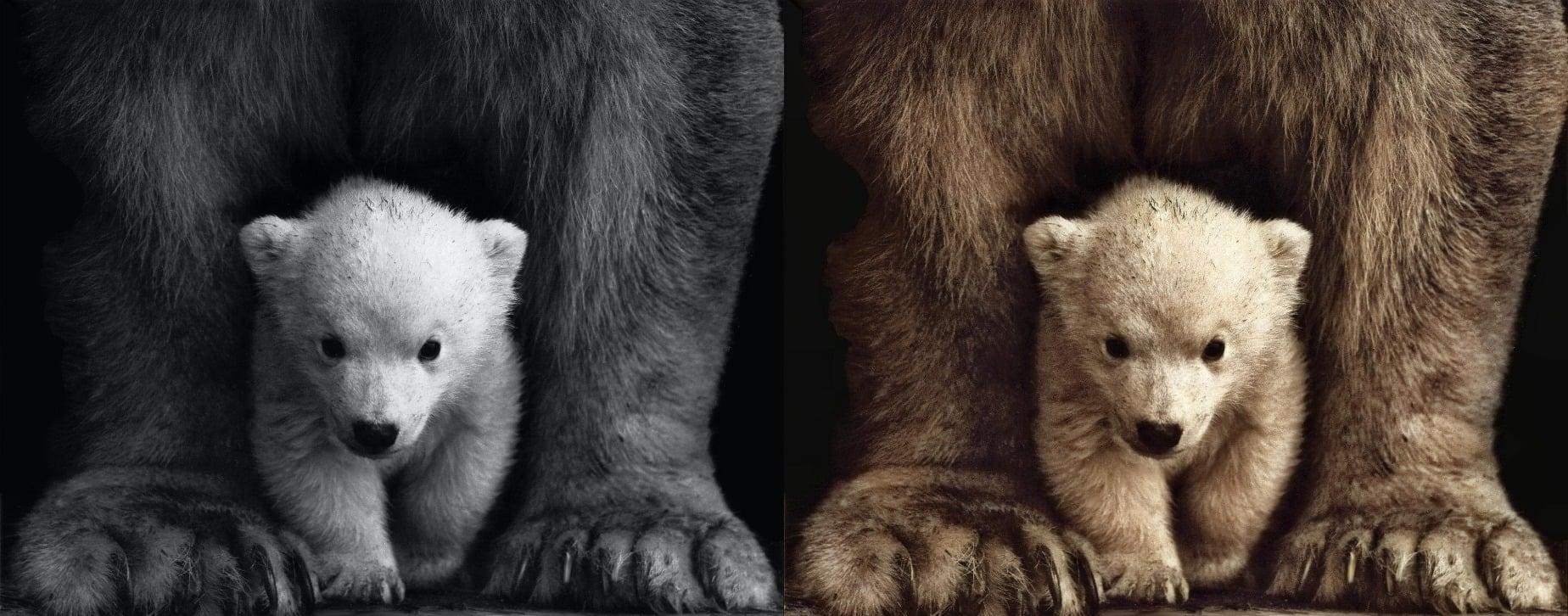 I Will Colorize Any Amount of Photos For You