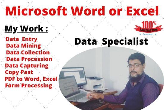 I Will Do Any Kind Of Data Entry, Excel Entry work and be your virtual assistant for