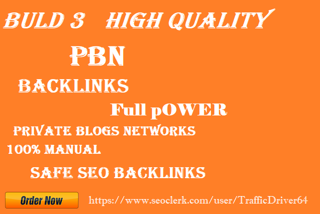 Build 3 homepage PBN Do Follow backlinks DA30+