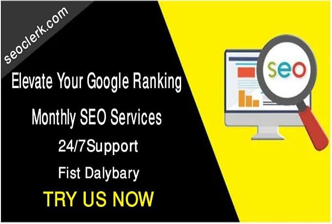 I will elevate your google ranking, monthly SEO services