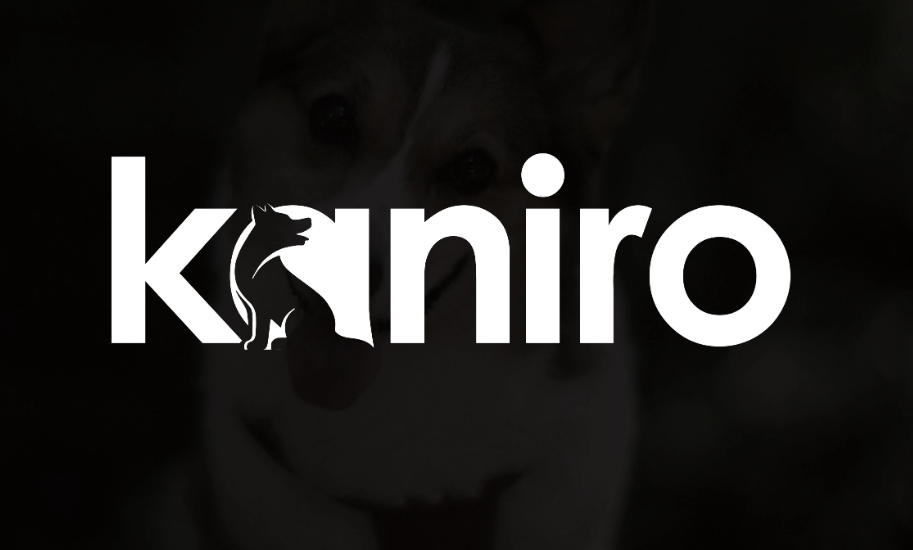 I will create a custom professional mascot logo or minimalist logo design