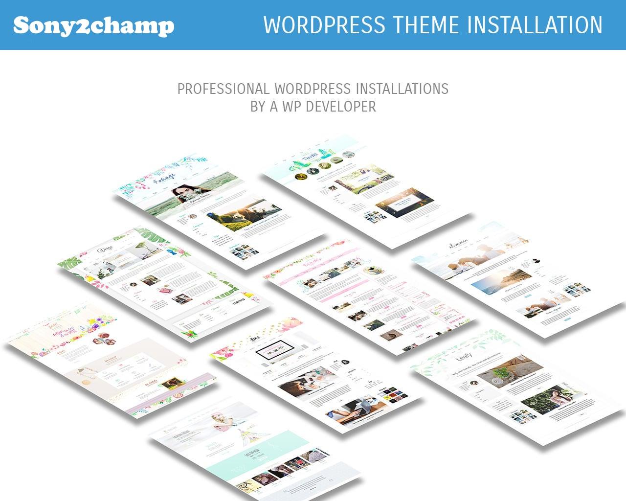All-in-One WordPress Website Launching Pack, Looking for the Best Wordpress Expert
