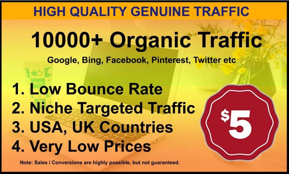 I will drive unlimited genuine web traffic for 7 days