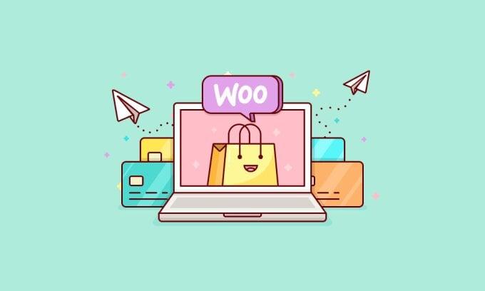 I will build ecommerce website using wordpress,woocommerce store