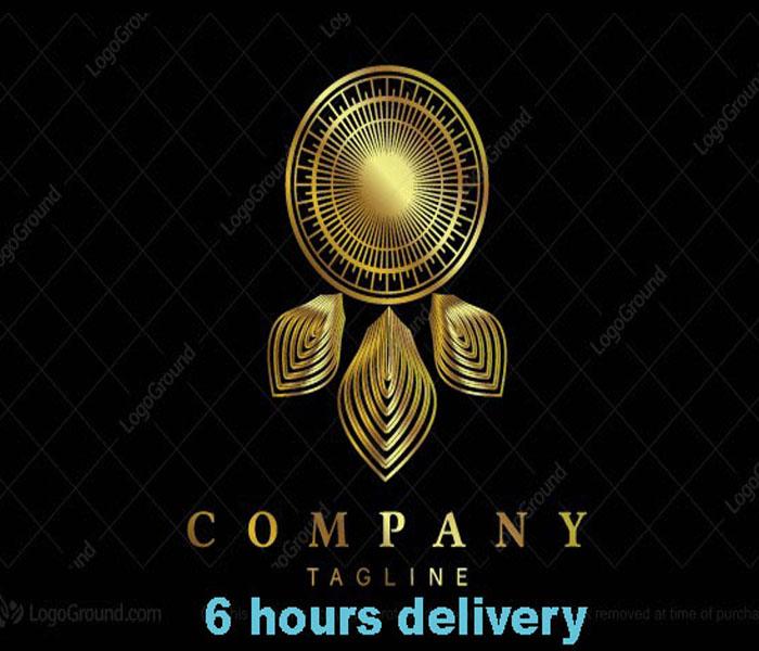 I will design luxury and professional business logo with 6 hours