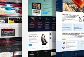 I will do professional wix website design or redesign website