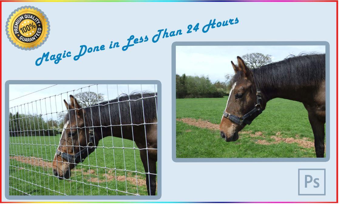 I will do photoshop edit your pictures and change text of document