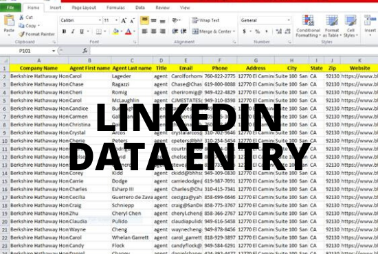 I will be an ideal Virtual Assistant, Data Entry, Data Collection, Data Mining