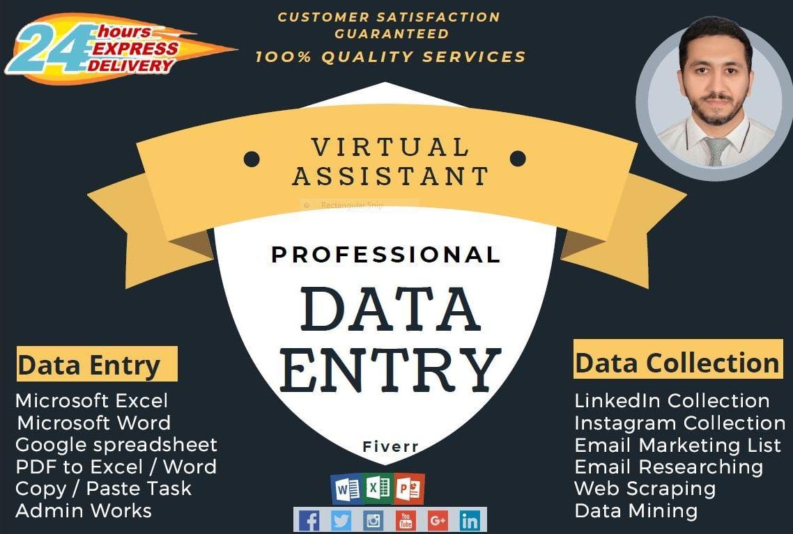 I will do data entry, data mining, data collection